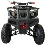 200 ATV Quad 4 Wheelers Utility Full Size Adult ATVs Big Youth ATVs - Image 2